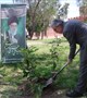 آیین بزرگداشت روز درختکاری با حضور رییس دانشگاه علوم پزشکی بم برگزار شد